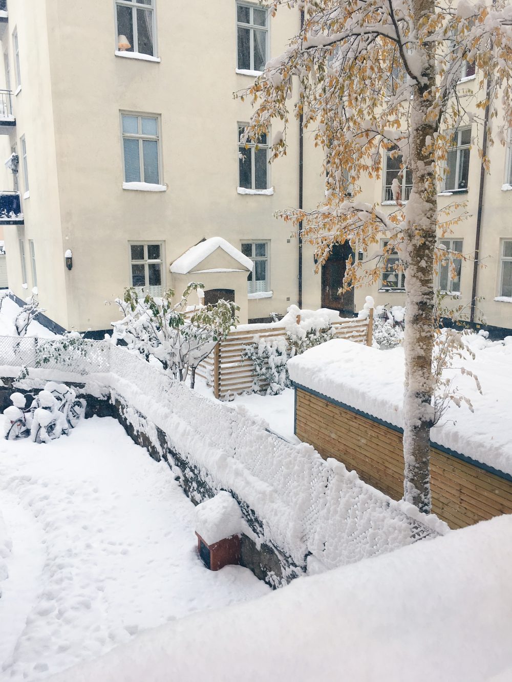 Härligt snöig utsikt från klassrummmet