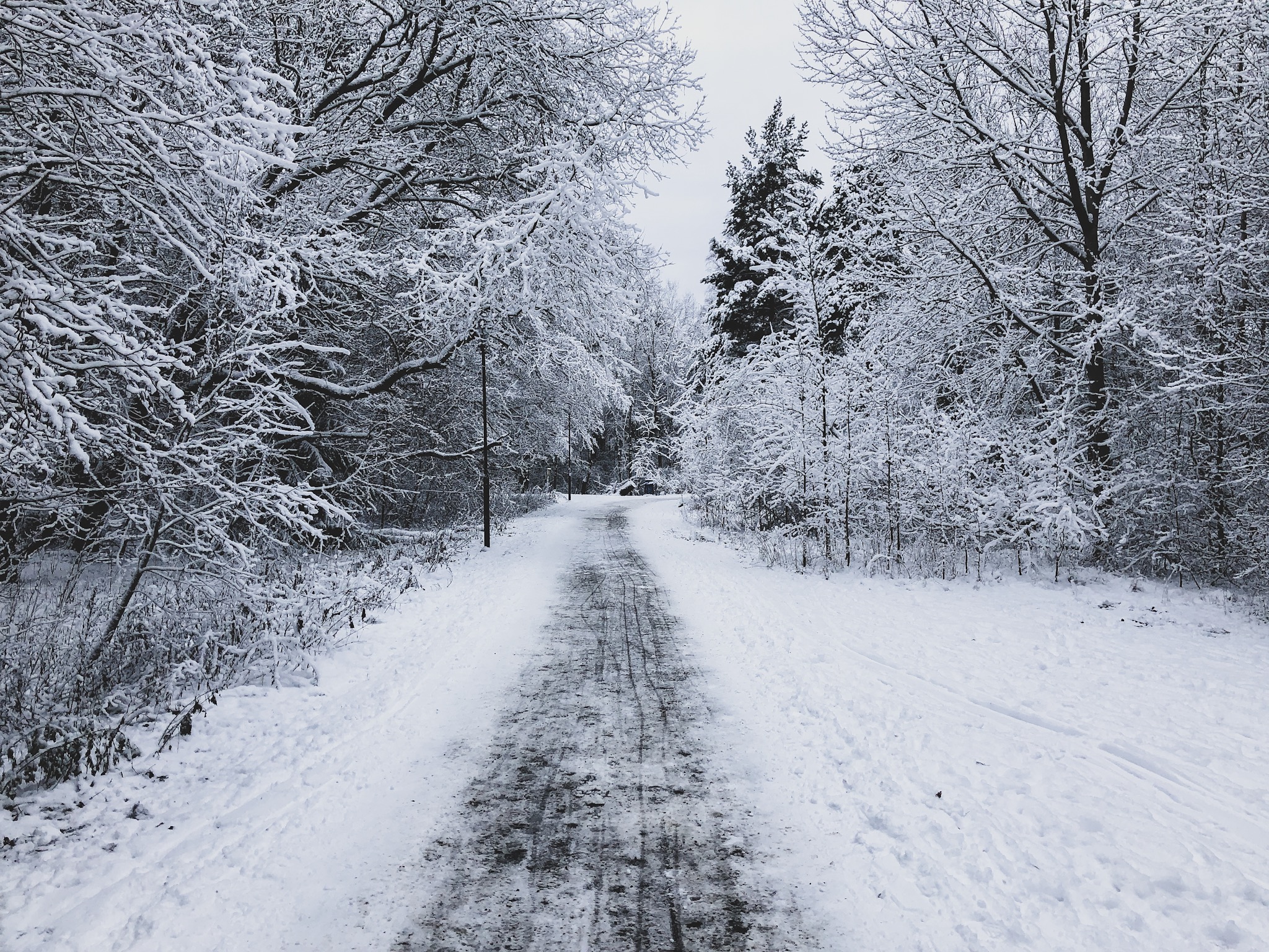 snö på vägen