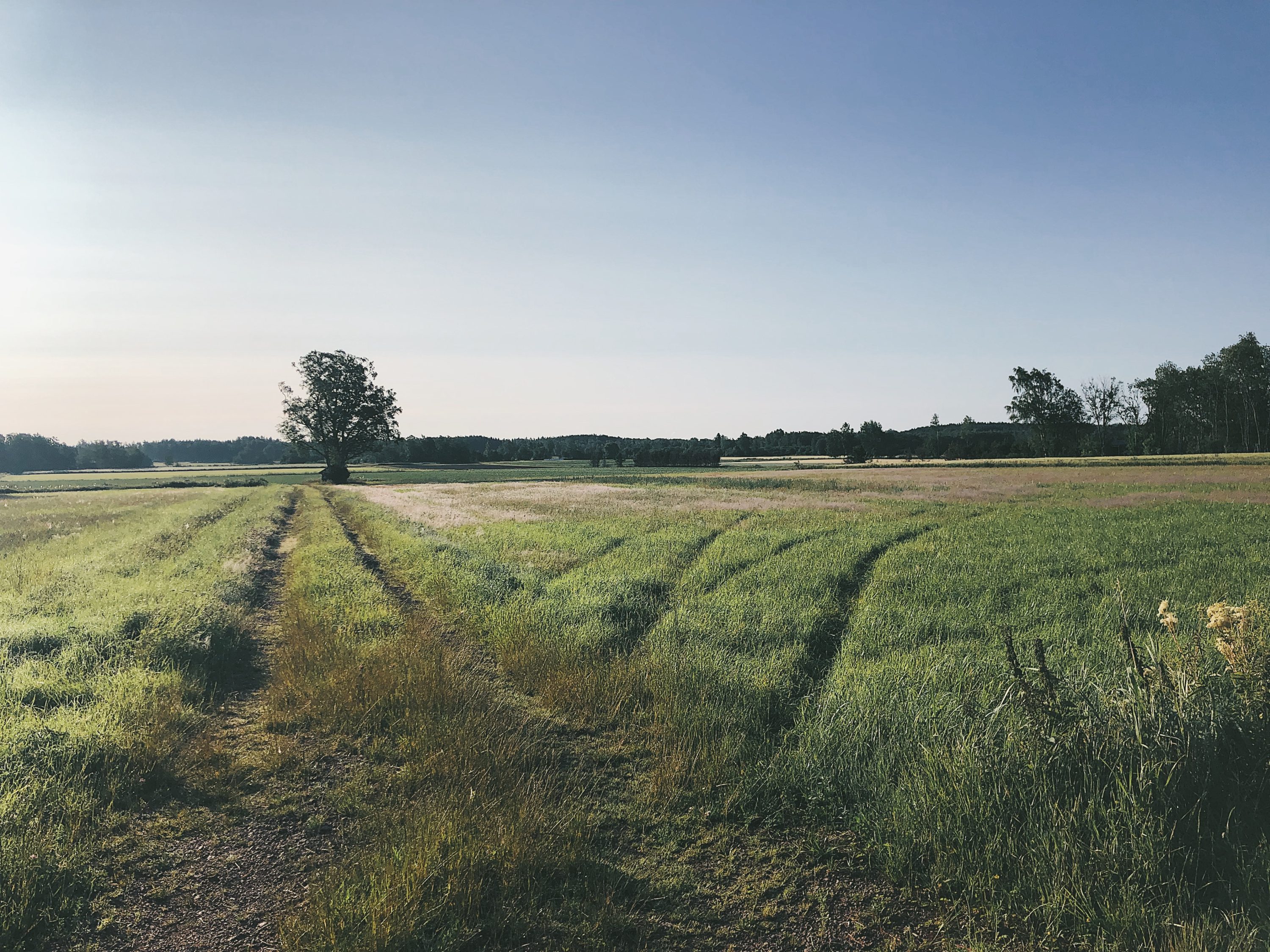 En morgon på Åland